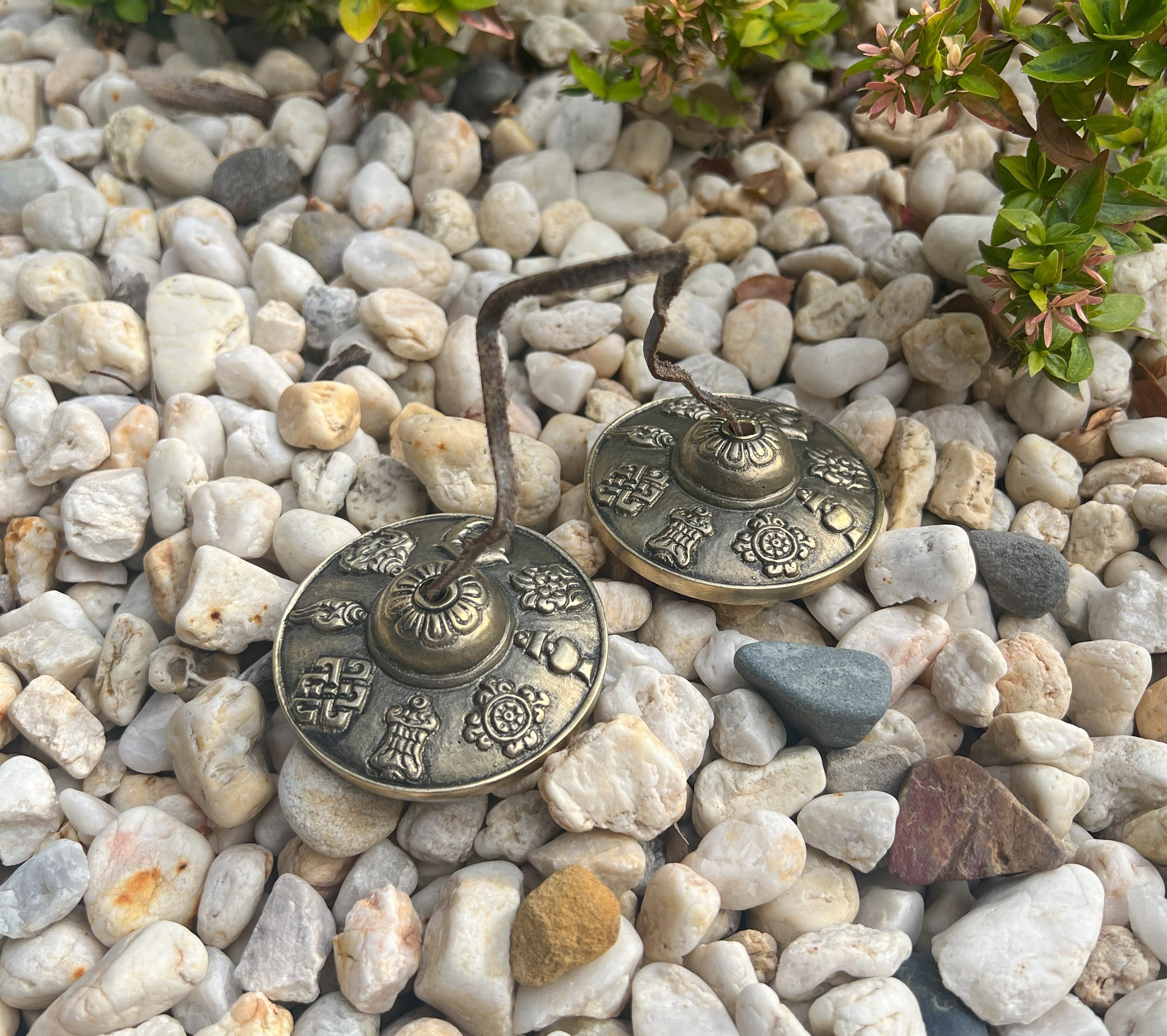 Sacred Ritual Instruments – SACRED HEALING COLLECTIVE