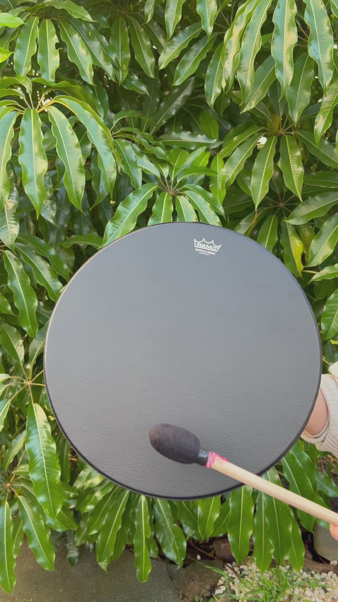 Remo Bahia Buffalo Drum - 16 inch