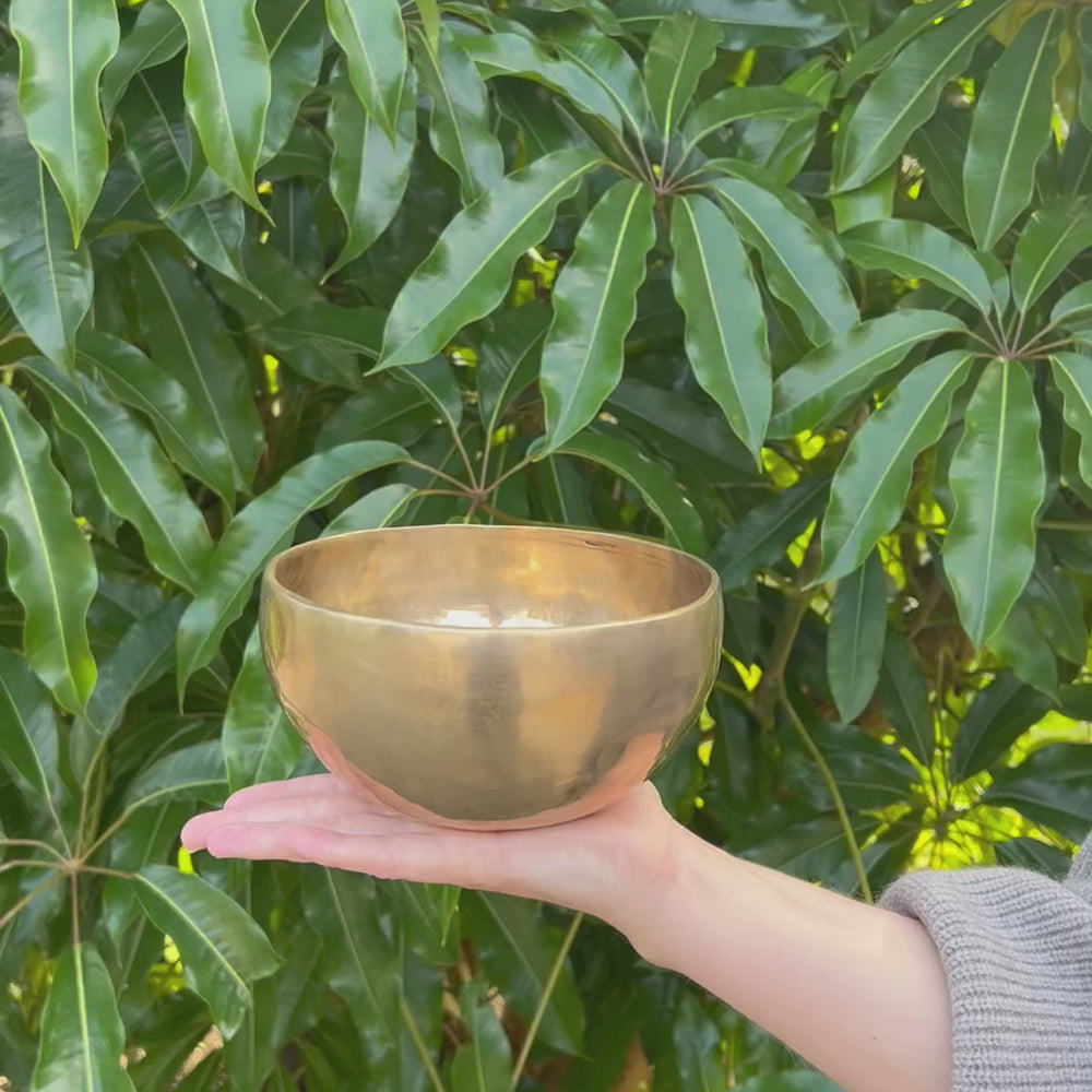 
                  
                    Load and play video in Gallery viewer, Tibetan Singing Bowl - Third Eye Chakra 1
                  
                